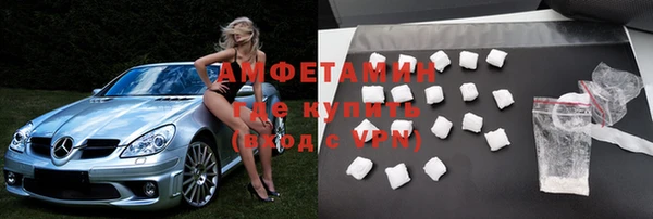 сатива Туринск