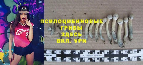 дурь Краснотурьинск